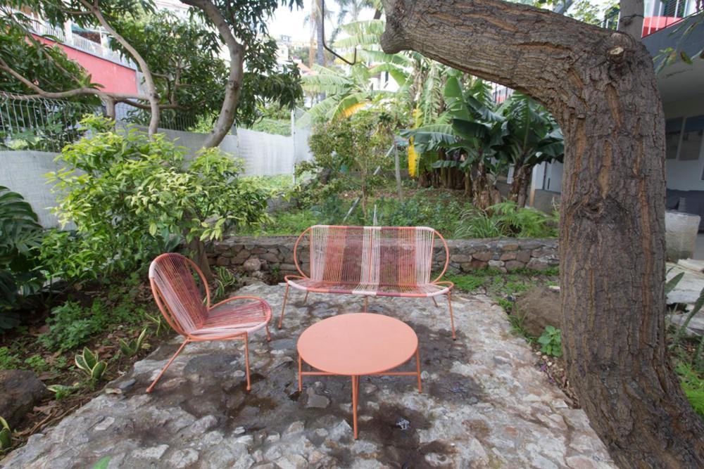 Rochinha Cozy Home Funchal  Exterior photo